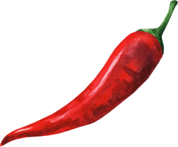 Red Pepper in Watercolor Illustration